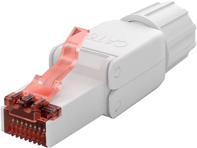 Modular-pistoke Cat6-kaapelille 8/8-nap. (RJ45) UTP