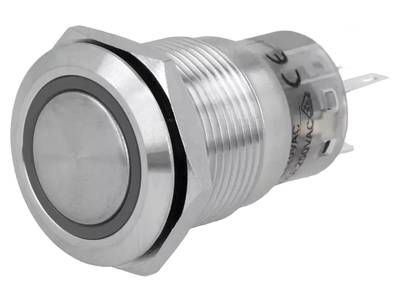 Painike LED-merkkivalolla 1xON-(ON) 0,5A IP67 24Vdc (19mm)